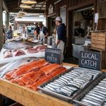 Los Pescados Más Saludables y Sostenibles para Tu Dieta