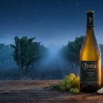 Protos Verdejo Cuveé 2025: Revolución en una Botella